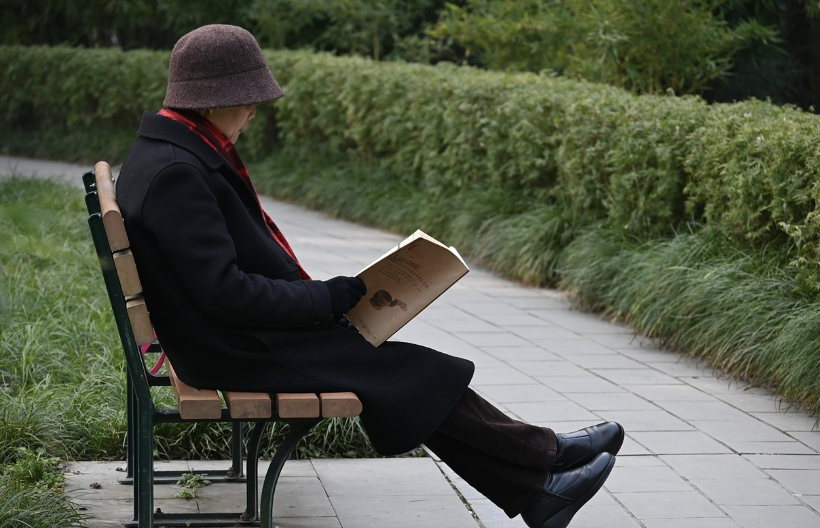 공원 벤치에서 책을 읽는 노인